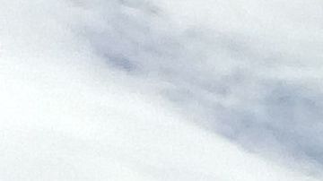 Manifestantes participan en una marcha contra la separación de familias.