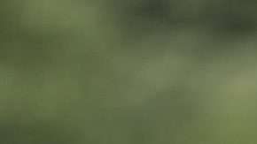 Aficionados brasileños esperan que Brasil se refunde una vez más tras el Mundial de Rusia 2018. (Foto: EFE/Antonio Lacerda)