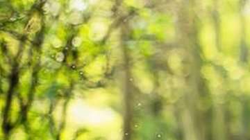 89511127_onlinejessica_2extrablur