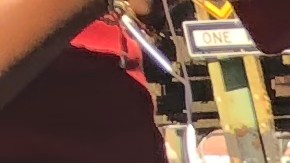 Manifestantes en la séptima marcha Trans-Latinx en Jackson Heights