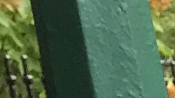 La abuela mexicana Georgina Luna, de 71 años, sufre al subir y bajar escaleras en el Subway.