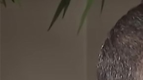 Alan Tacher se conecta con su papá fallecido