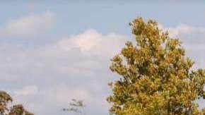 Table Rock Lake, Missouri.