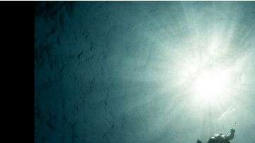 "El buzo Carlos Correa sube a la superficie en un descanso durante la Copa Caribeña de buceo sin equipo 2015 que se celebró en Honduras", explica el fotógrafo Alex St. Jean. "Cada vez que veo esta foto me relaja y me hace preguntarme cómo estos atletas pueden alcanzar profundidades de casi 100 metros con su propia respiración durante cerca de cuatro minutos".