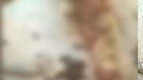 El cerdo solo logró sobrevivir dos días.