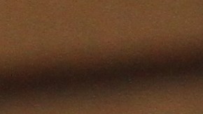 Nuevos ciudadanos de los EE.UU. juran en una ceremonia en la Biblioteca de la Ciudad de Nueva York durante el Dia de la Independencia.