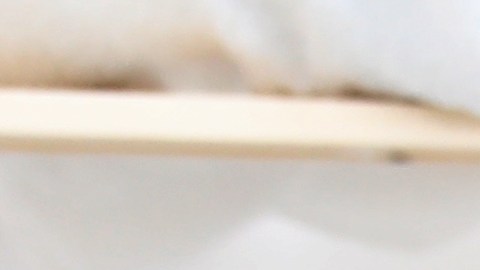 Asignar tareas y pagar por ellas es una buena manera de hacerles ver el valor del trabajo y el dinero./Shutterstock