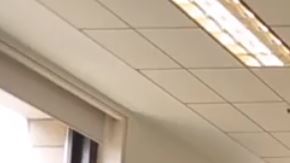 Clase de danza en la que varios estudiantes preparan sus audiciones.