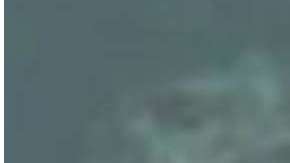 El esposo no siguió las órdenes de su mujer.