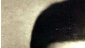 Henri Le Masne pudo ser identificado luego de 60 años de su desaparición.