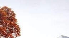 La nueva estación se ubicará en 149 St y Saint Ann's Av