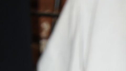 La stipper habría quedado completamente desnuda en escena.