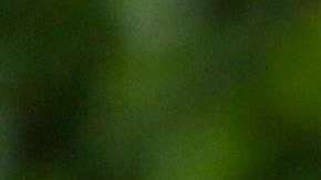 Demi Lovato está hospitalizada.