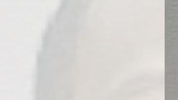 Derek Robinson fue capturado.