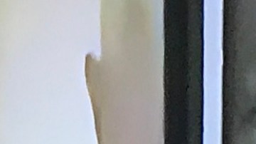 Diego Suero (29) también enfrenta cargos por conspiración