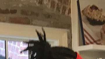 Obama y Biden almuerzan en Dog Tag Bakery en Washington D.C.