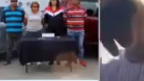 Momento del arresto de Armando Román "N", alias "El Loco".