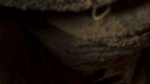 Univision ha apostado fuertemente a la serie del narcotraficante mexicano.