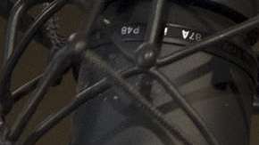 Prince Royce será parte de "Elena Of Avalor: Song Of The Sirenas" (Disney Channel/Paul Hebert)