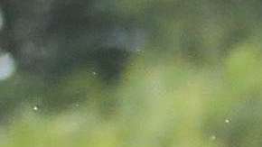 Erasmo Provenza es el narrador de cada circuito