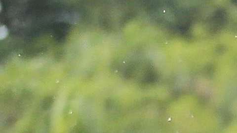 Erasmo Provenza es el narrador de cada circuito