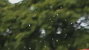 Cada equipo es conformado por 10 integrantes