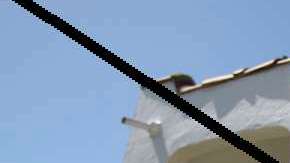 Todo se debe a la próxima apertura de una planta de Costco