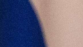 La base electoral de Trump. compuesta en gran medida por votantes blancos, es señalada por Levistky como una diferencia respecto a populismos de América Latina. (Foto: Chris McGrath/Getty Images)