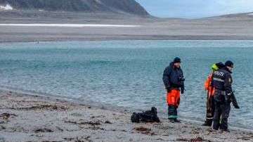 Así quedó el cuerpo de animal.