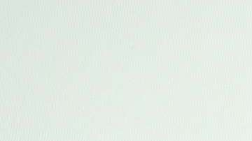 Google nació hace dos décadas.