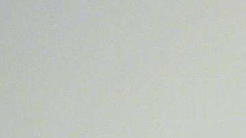 No solo se permitiría votar a inmigrantes con Green Card sino a titulares de visas, TPS o DACA