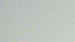 No solo se permitiría votar a inmigrantes con Green Card sino a titulares de visas, TPS o DACA