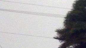 Los huracanes “Harvey”, “Irma” y “María” ocasionaron cerca de $10,000 millones en pérdidas.