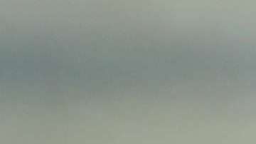 Manifestantes exigirán al presidente Trump terminar con la corrupción.