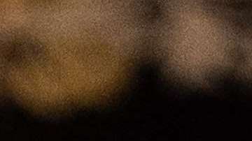 Por décadas los hermanos Koch han financiado las campañas de gran parte de los republicanos en EEUU