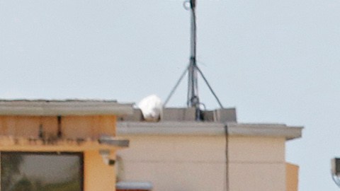 Centro de detención temporal para niños no acompañados en Homestead, Florida.