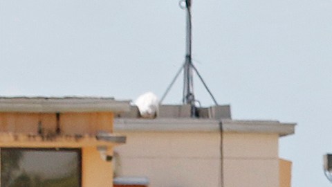 Centro de detención temporal para niños no acompañados en Homestead, Florida.