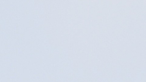 El 21 de junio, Melania Trump visitó un centro de retención de niños en la frontera sur.