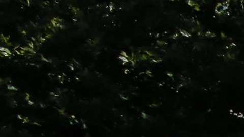 Miles piden que no se separe más a las familias de inmigrantes en EEUU.