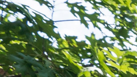 Manifestantes exigen la reunificación de las familias, este miércoles 11 de julio, en Nueva York.