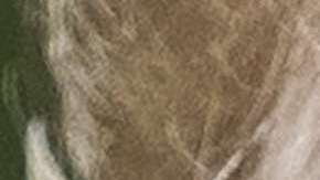 Trump adelanta una dura campaña de desprestigio contra la investigación de la "Trama Rusa"