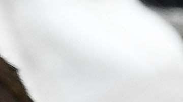 Kate Middleton y Meghan Markle.