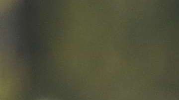 La Primera Dama llegó este domingo a Helsinki donde se realizara la cumbre entre Trump y Putin