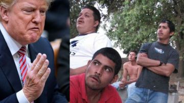 El gobierno de Donald Trump se ha caracterizado por una dura retórica antiinmigrante
