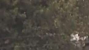 Las protestas contra ICE en estados como Oregon  han ido en aumento.