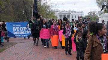 En el 2013, 207 niños entre 10 y 14 años fueron deportados.