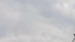 Lobos BUAP comenzará el Apertura 2018 de la Liga MX con nueva mascota. (Foto: Imago7/Rodrigo Peña)