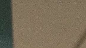 Diego Maradona arremetió contra un sobrino en un programada de televisión en vivo