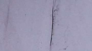 Ricardo Ferretti, técnico de Tigres, escucharía ofertas para dirigir al Tri sólo si lo corren