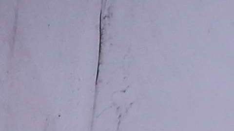 Ricardo Ferretti, técnico de Tigres, escucharía ofertas para dirigir al Tri sólo si lo corren